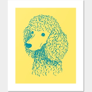 Poodle (Yellow and Teal) Posters and Art